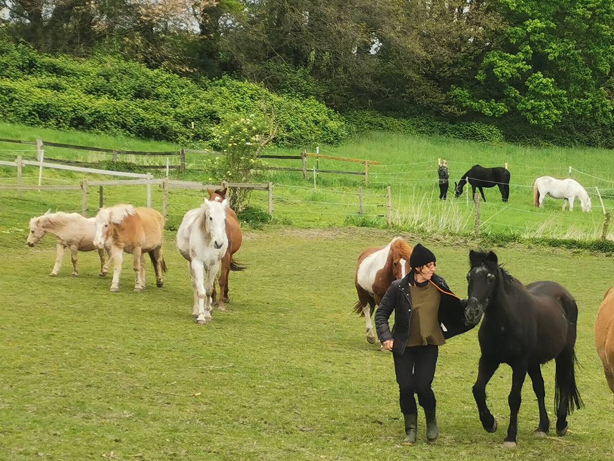 Gut Rodeberg: Abschied mit Paten- und Besuchertagen