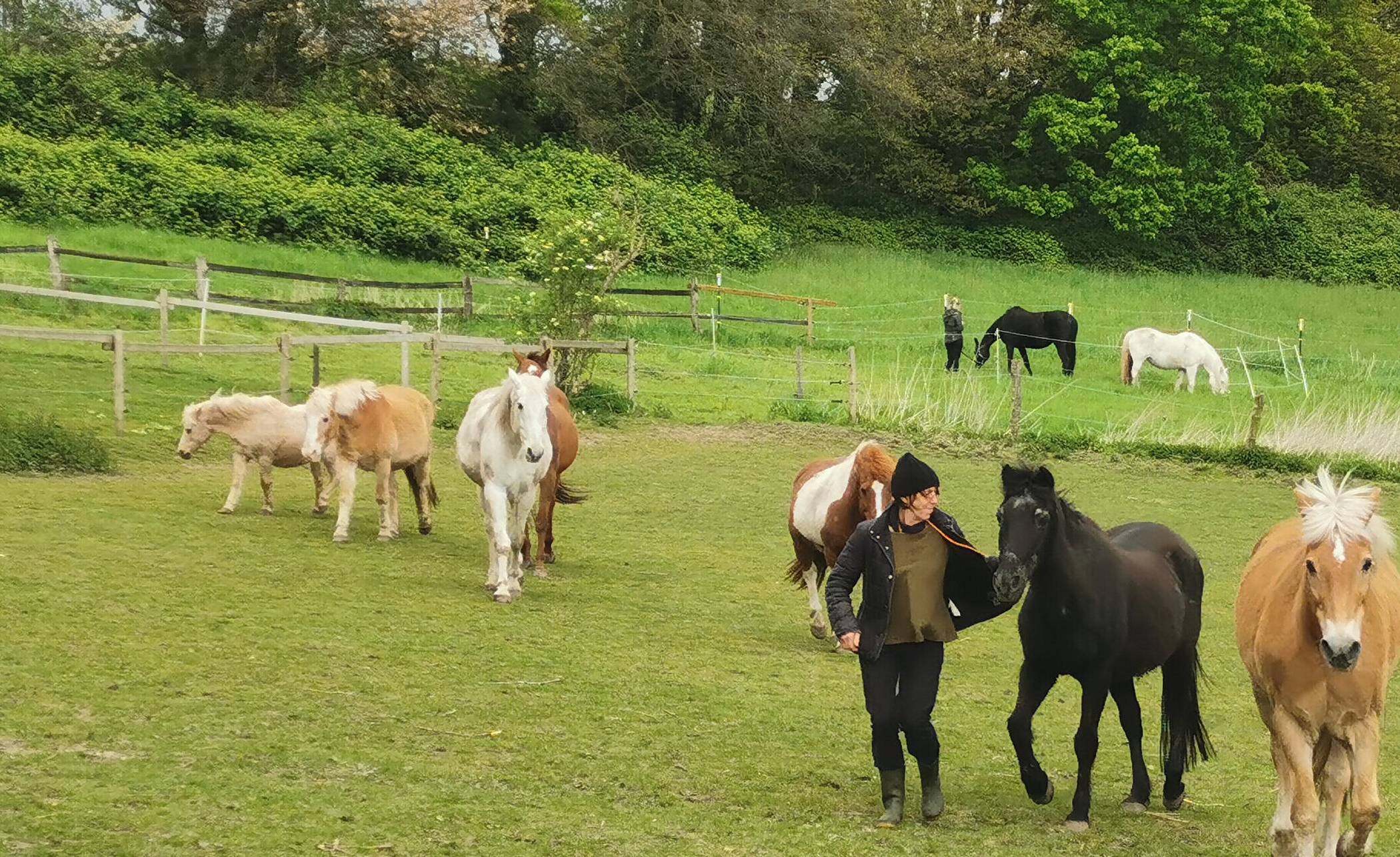 Gut Rodeberg: Abschied mit Paten- und Besuchertagen