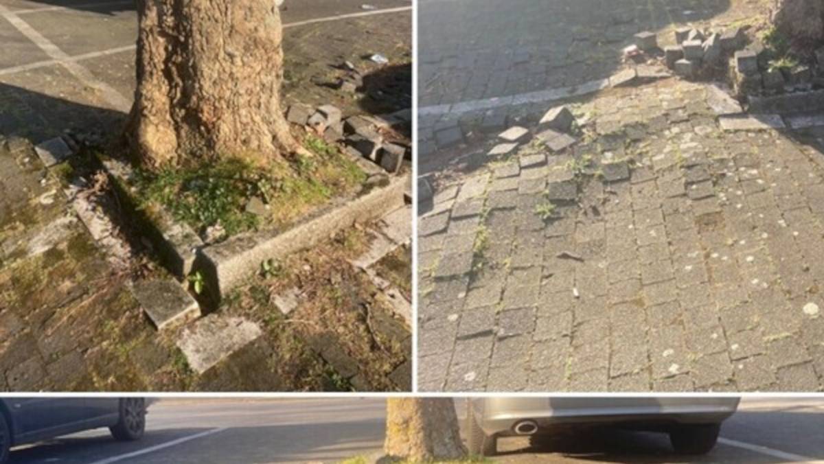 BmU beantragt Entsiegelung an der Schimmelbuschstraße
