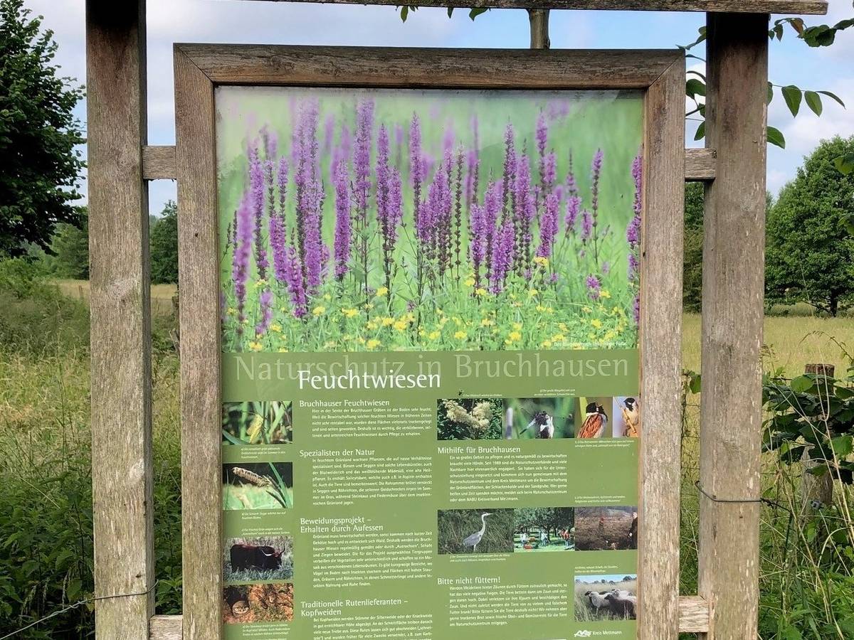 Neue Infotafeln im Naturschutzgebiet Bruchhausen