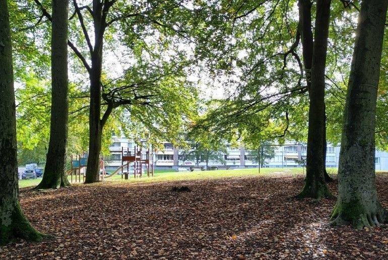 Sandheide: Ein Seilgarten an der Immermannstraße