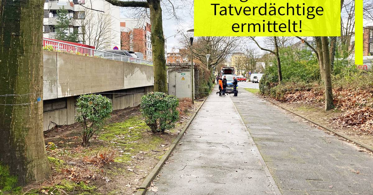 Paris ow yang onlyfans nude she did not lay out any rules,