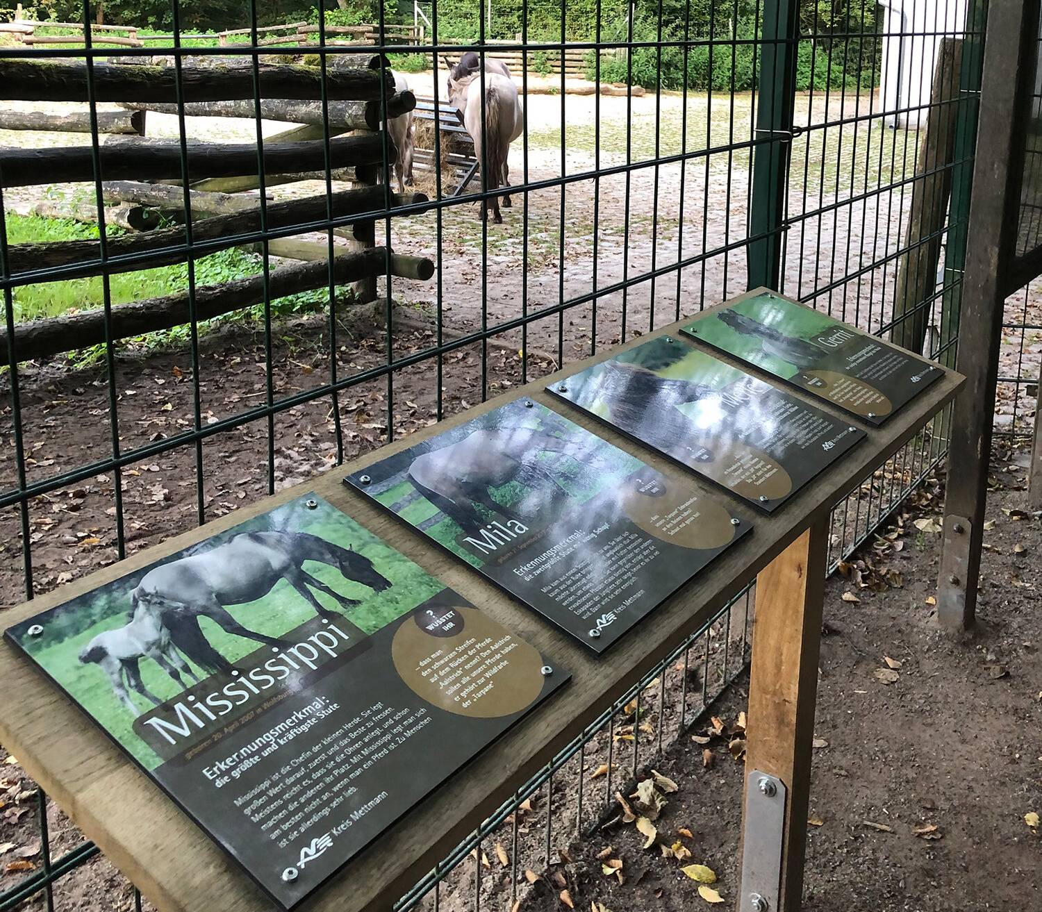 Das sind die Chefs und Diven im Wildgehege