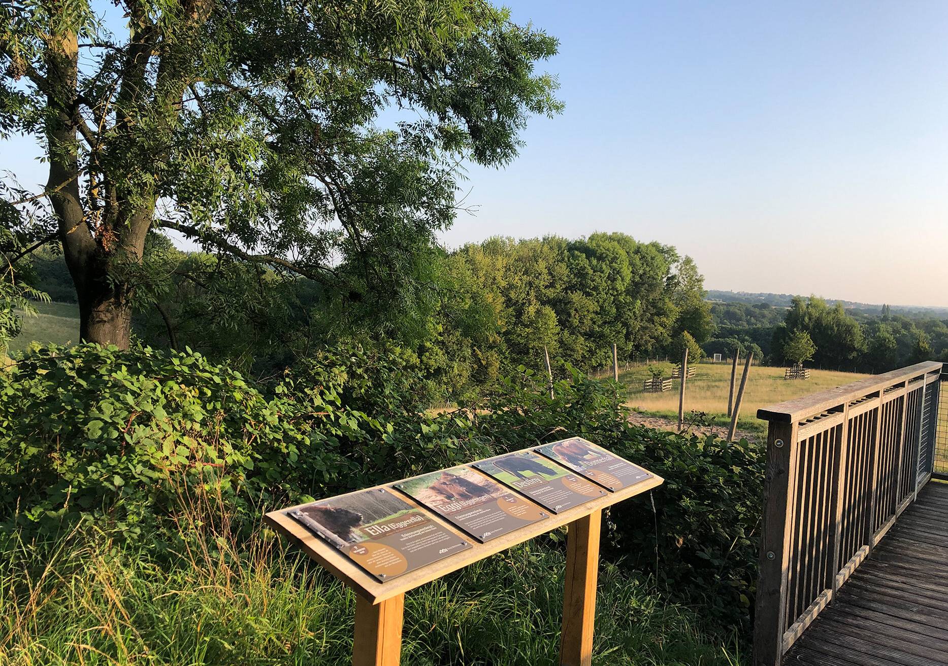  Steckbriefe informieren über die Bewohner des eiszeitlichen Wildgeheges. 