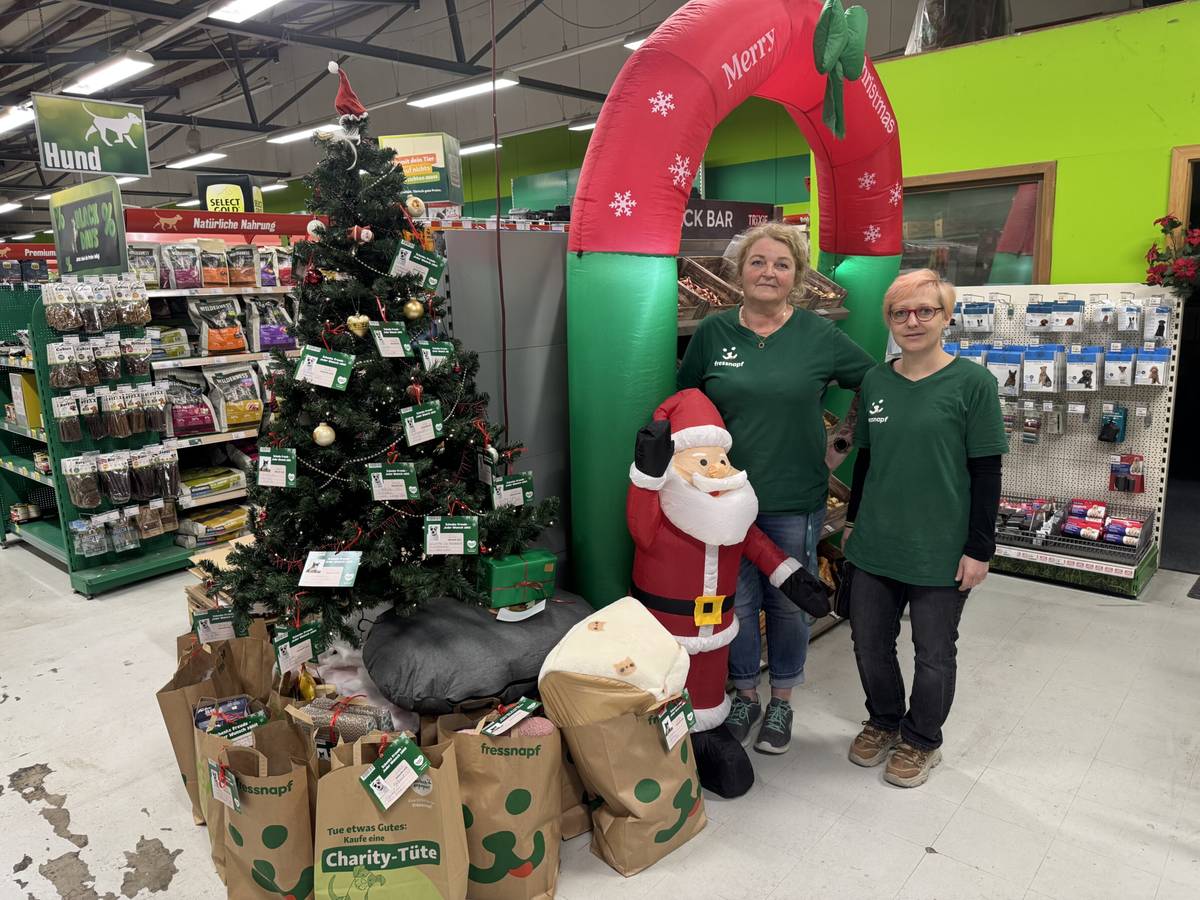 Karten pflücken und Wünsche erfüllen