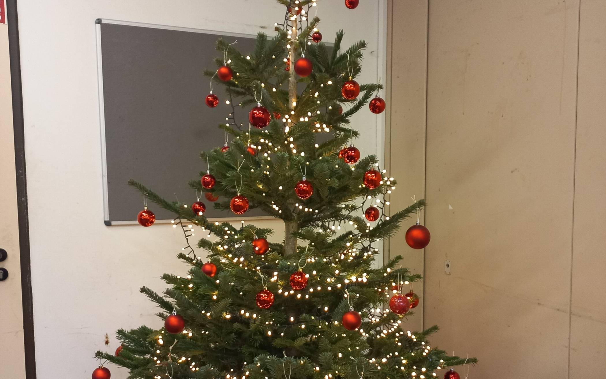 Gymnasium und Realschule Hochdahl zeigen: Wir halten zusammen