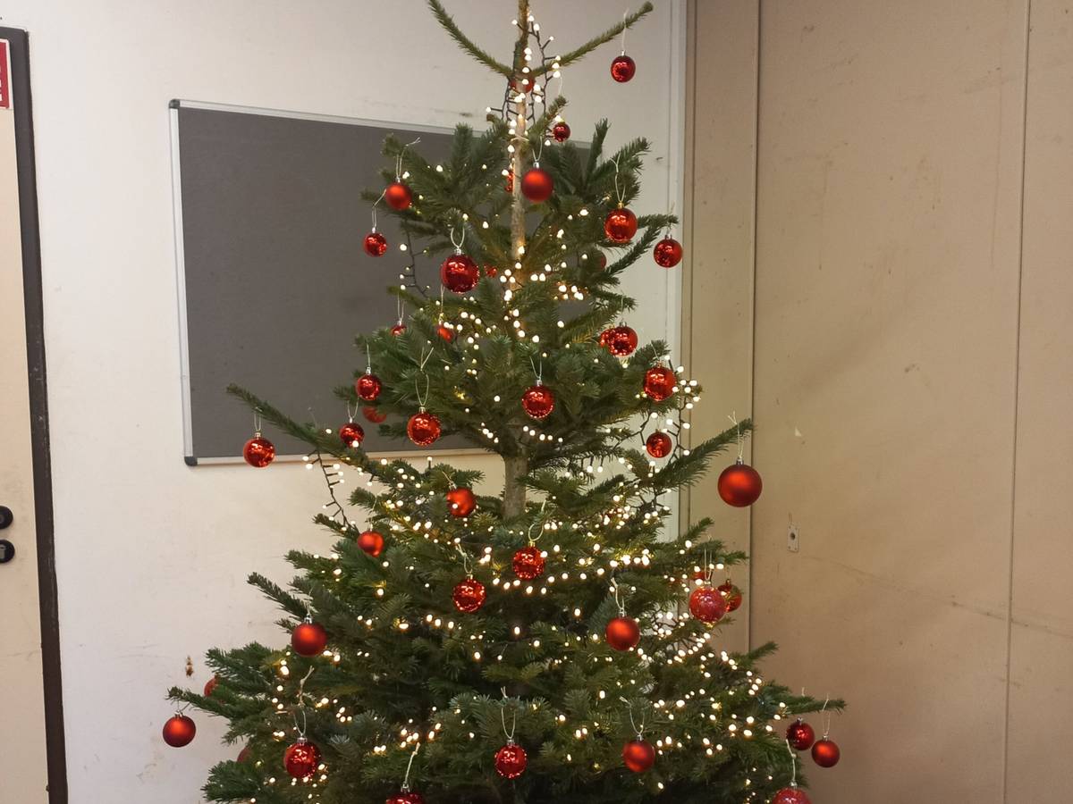 Gymnasium und Realschule Hochdahl zeigen: Wir halten zusammen