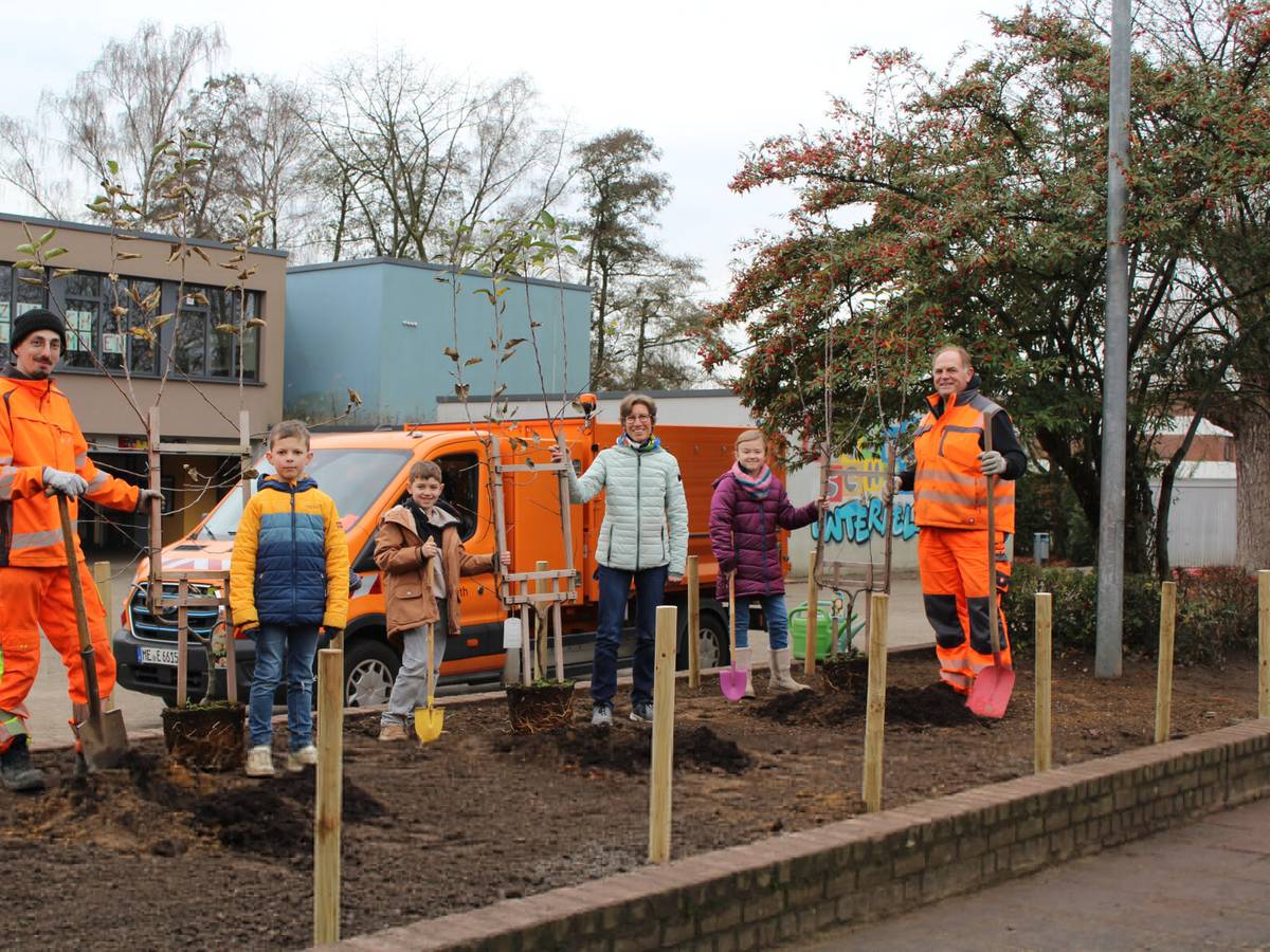 Apfelbäume für ein besseres Naturverständnis