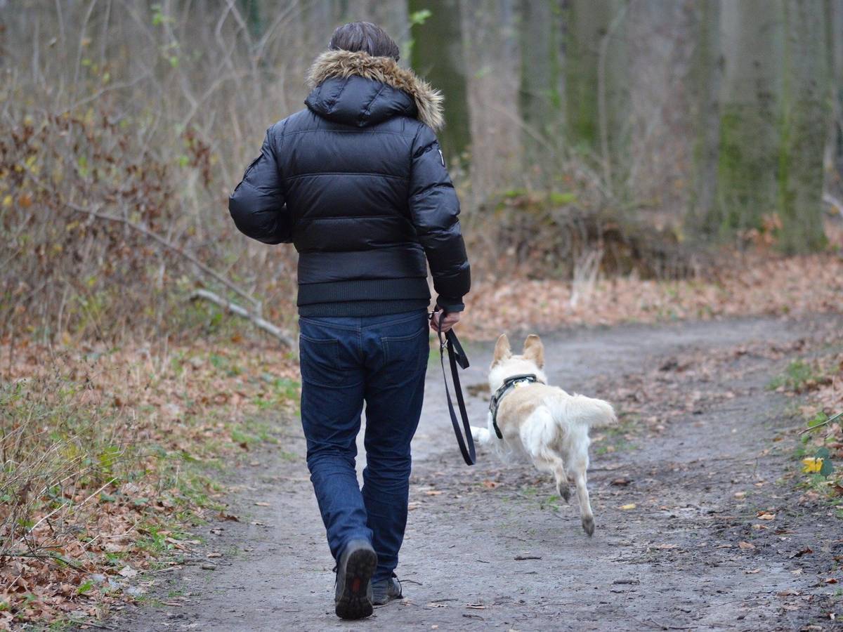 Waldspaziergang mit zertifizierter Mentalcoachin
