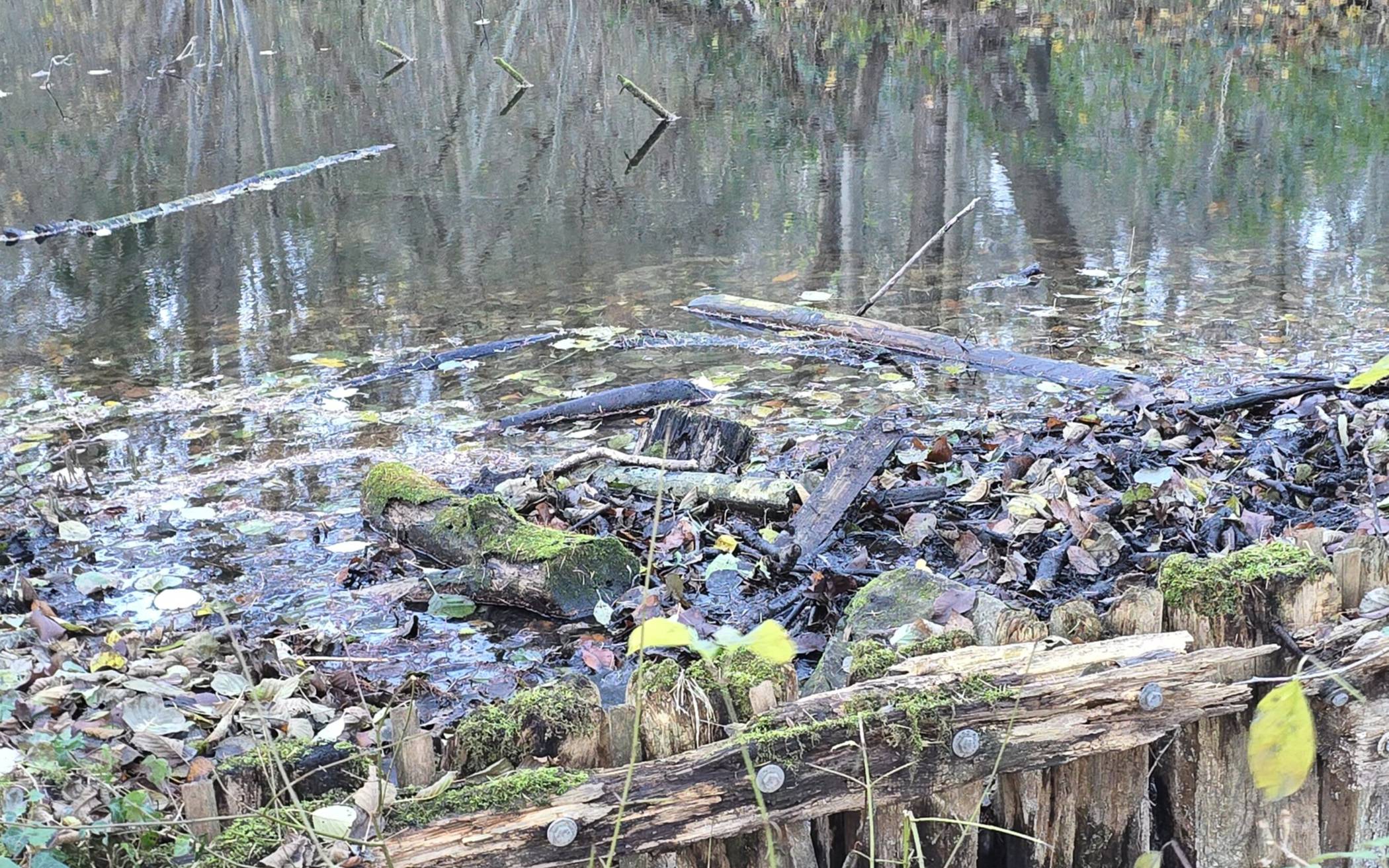 Das defekte Wehr an den Teichen im Bayer-Park.