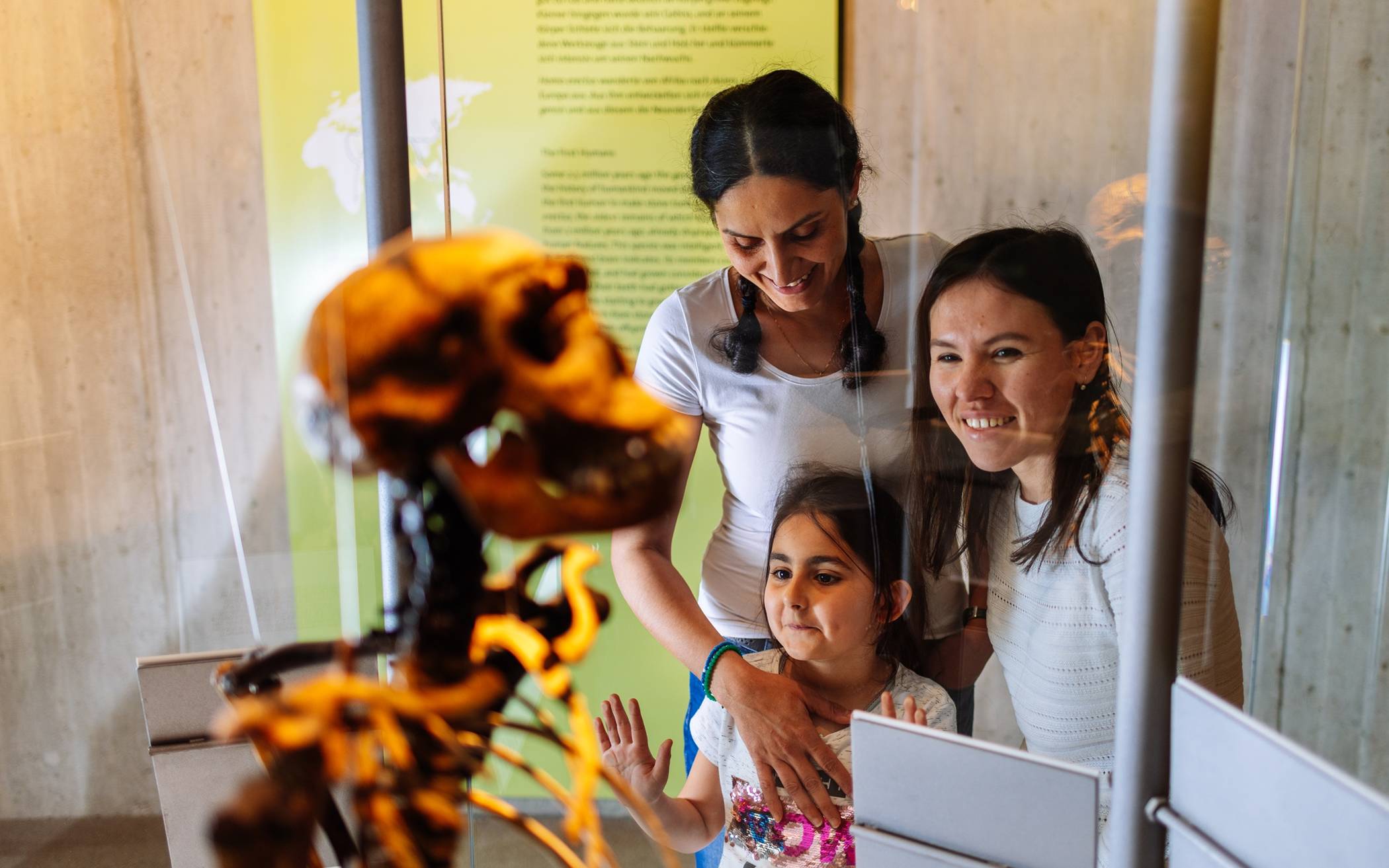 Neanderthal Museum veröffentlicht Jahresstatistik 2025