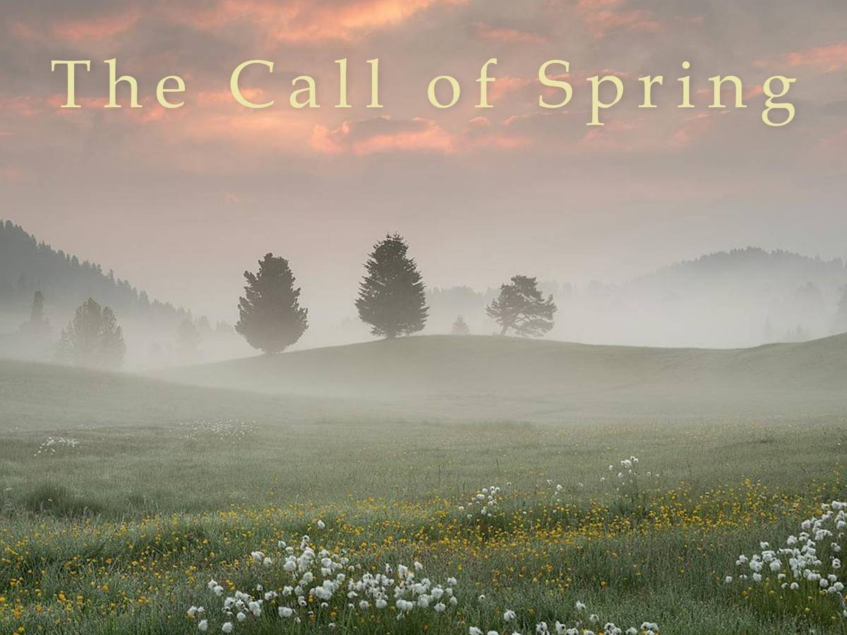  Bernd Scholl spielt endlich wieder im Neandertal No. 1 