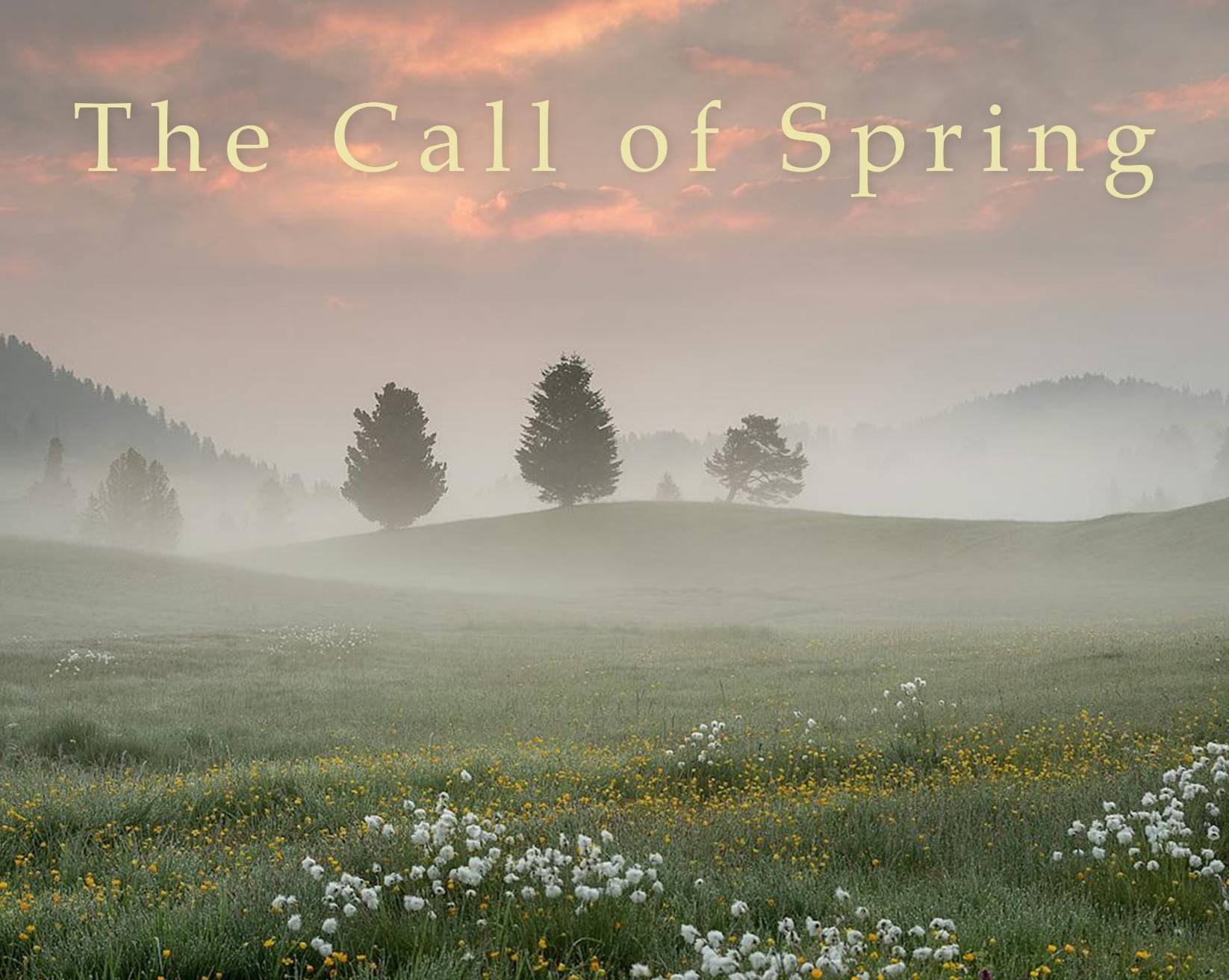 Bernd Scholl spielt endlich wieder im Neandertal No. 1