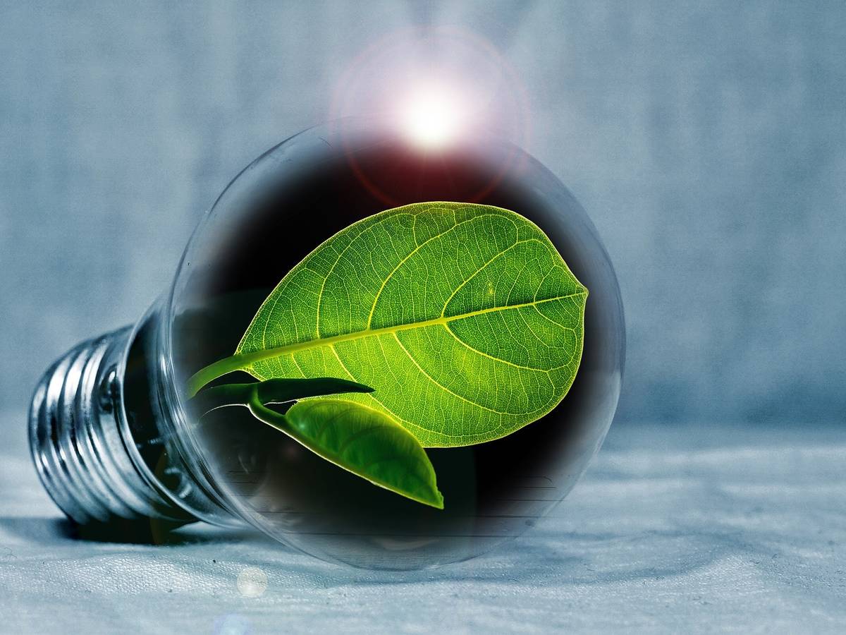 Kostenlose Energieberatung in der Stadtbücherei