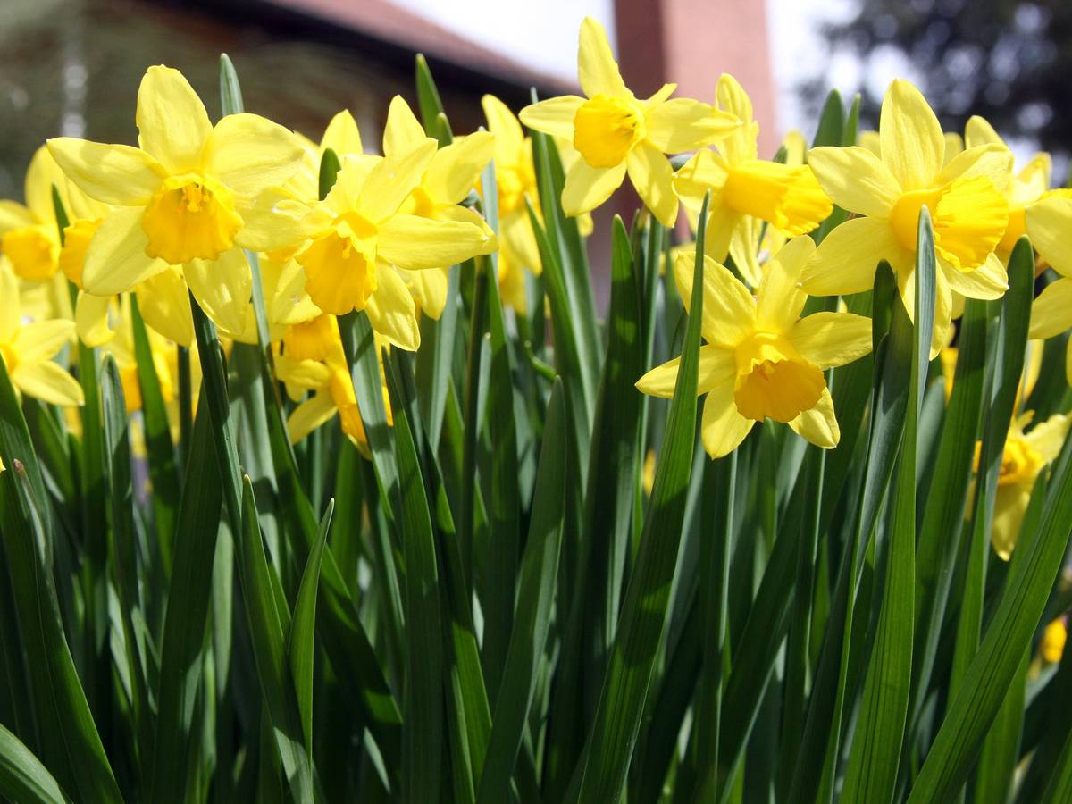 Herausspaziert – Frühlingserwachen in der Sandheide