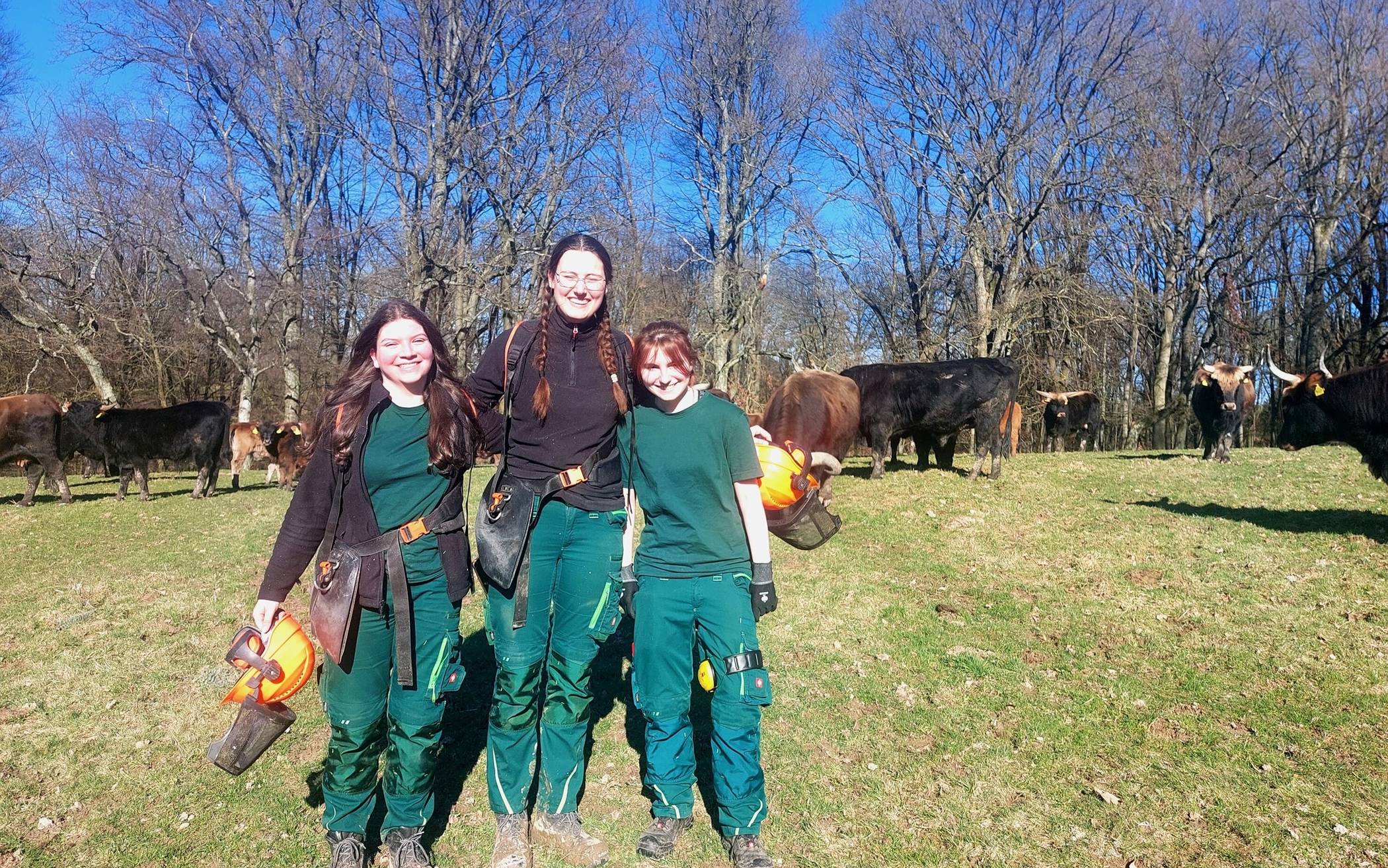 Arbeiten im Wildgehege: Kreis sucht junge Freiwillige