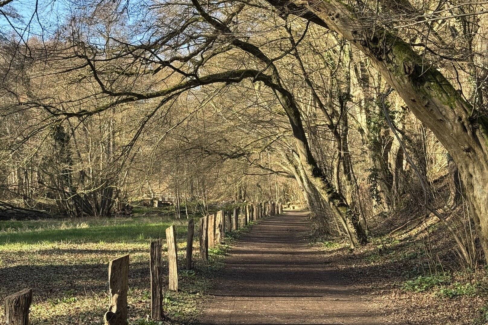 Wanderweg für vier Monate gesperrt