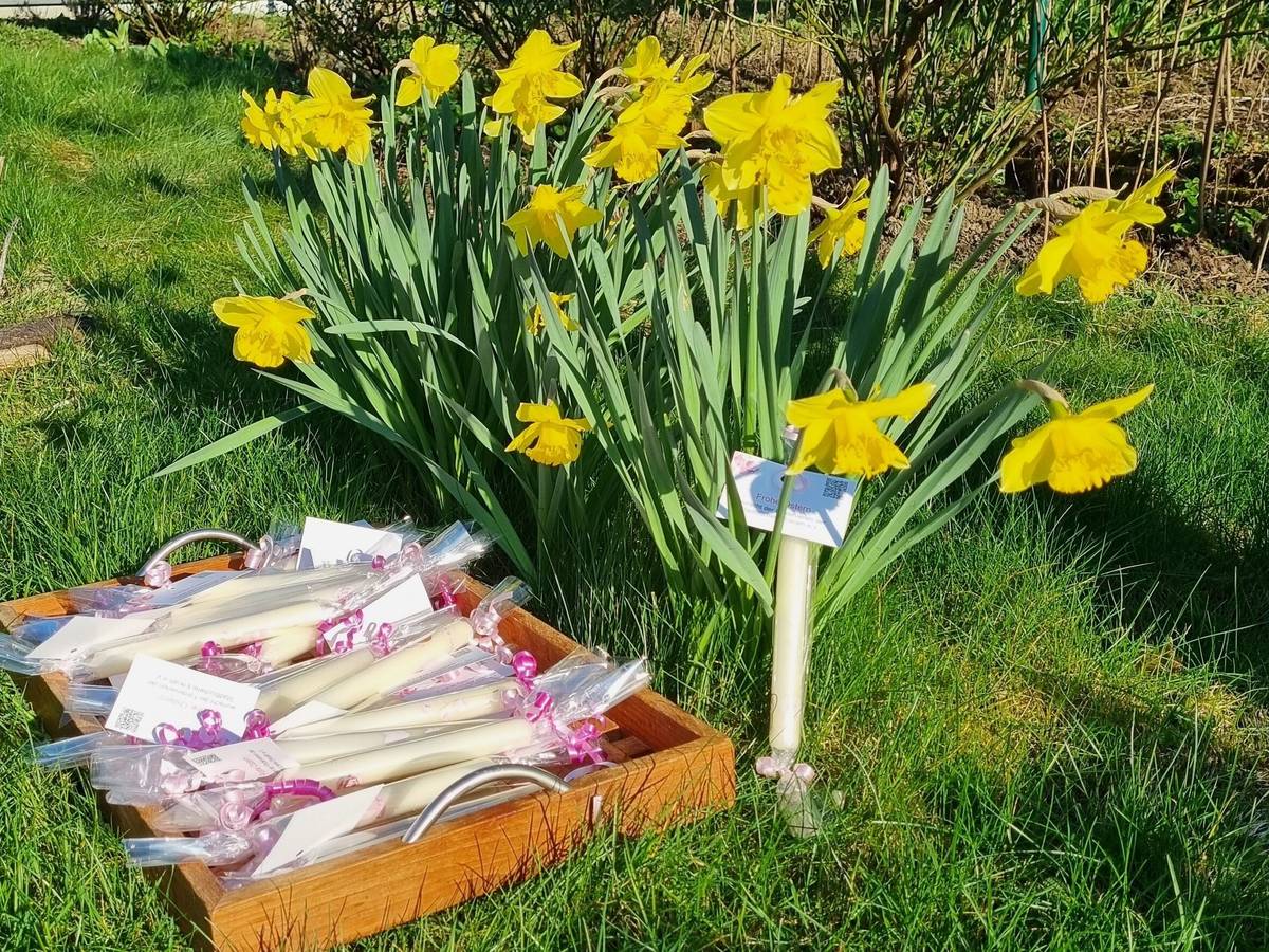 Ostersuchaktion in der Stadtbücherei Erkrath