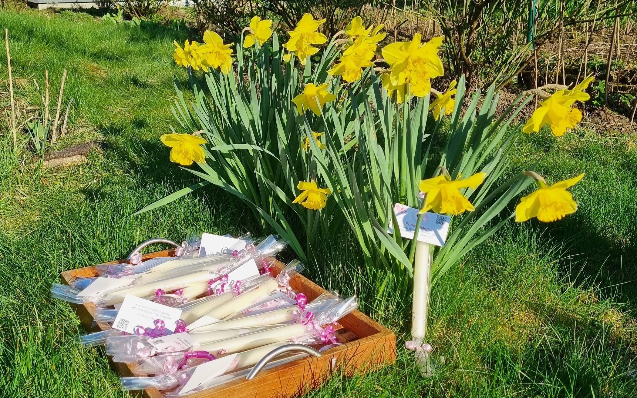 Bis einschließlich 2. April können große