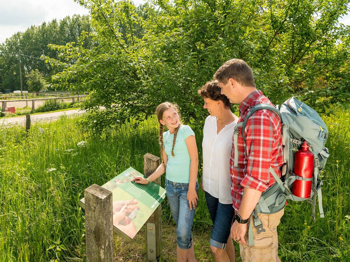 Frühling erleben und mit Rücksicht die Natur genießen