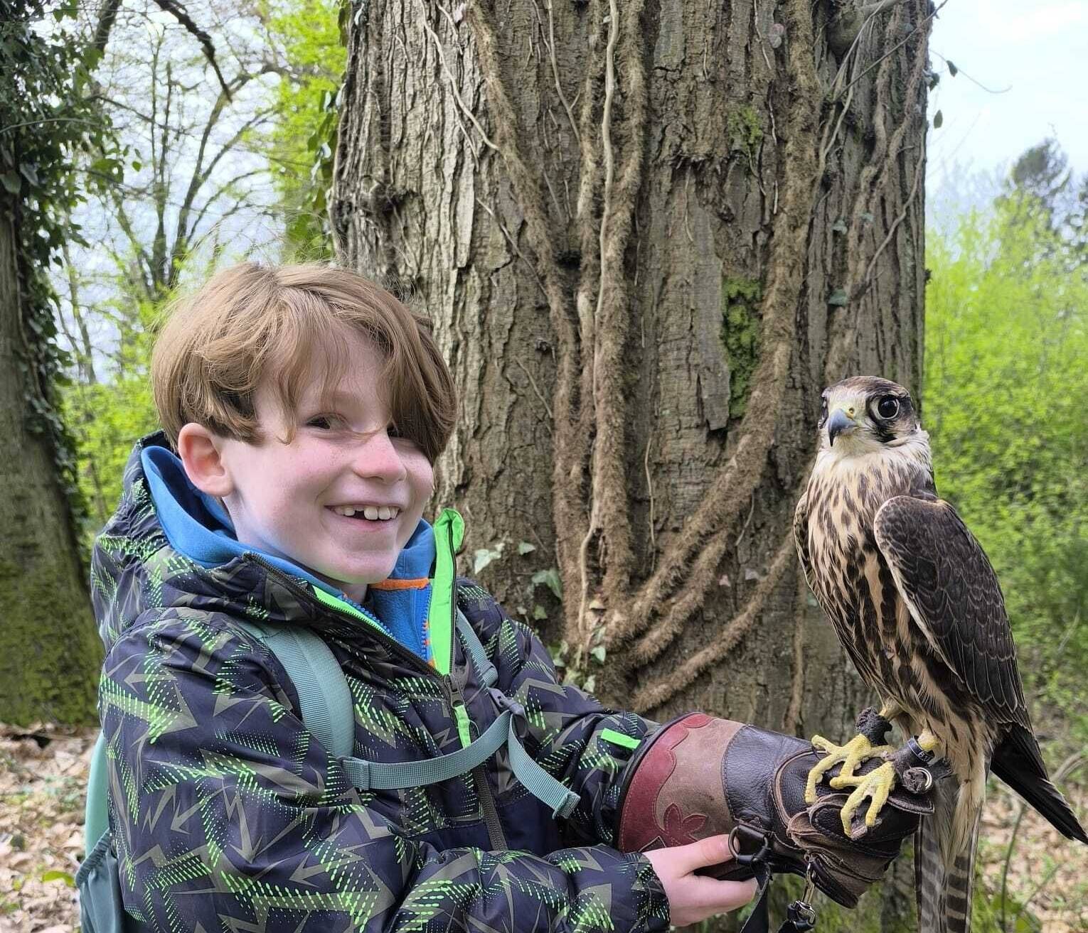 Jedes Kind, was sich traute, durfte auch mal selbst auf Tuchfühlung mit den Vögeln gehen.