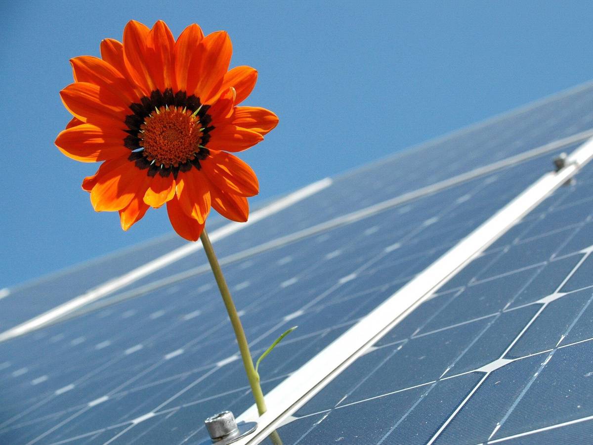 Stadt bietet kostenlose Energieberatung per Telefon