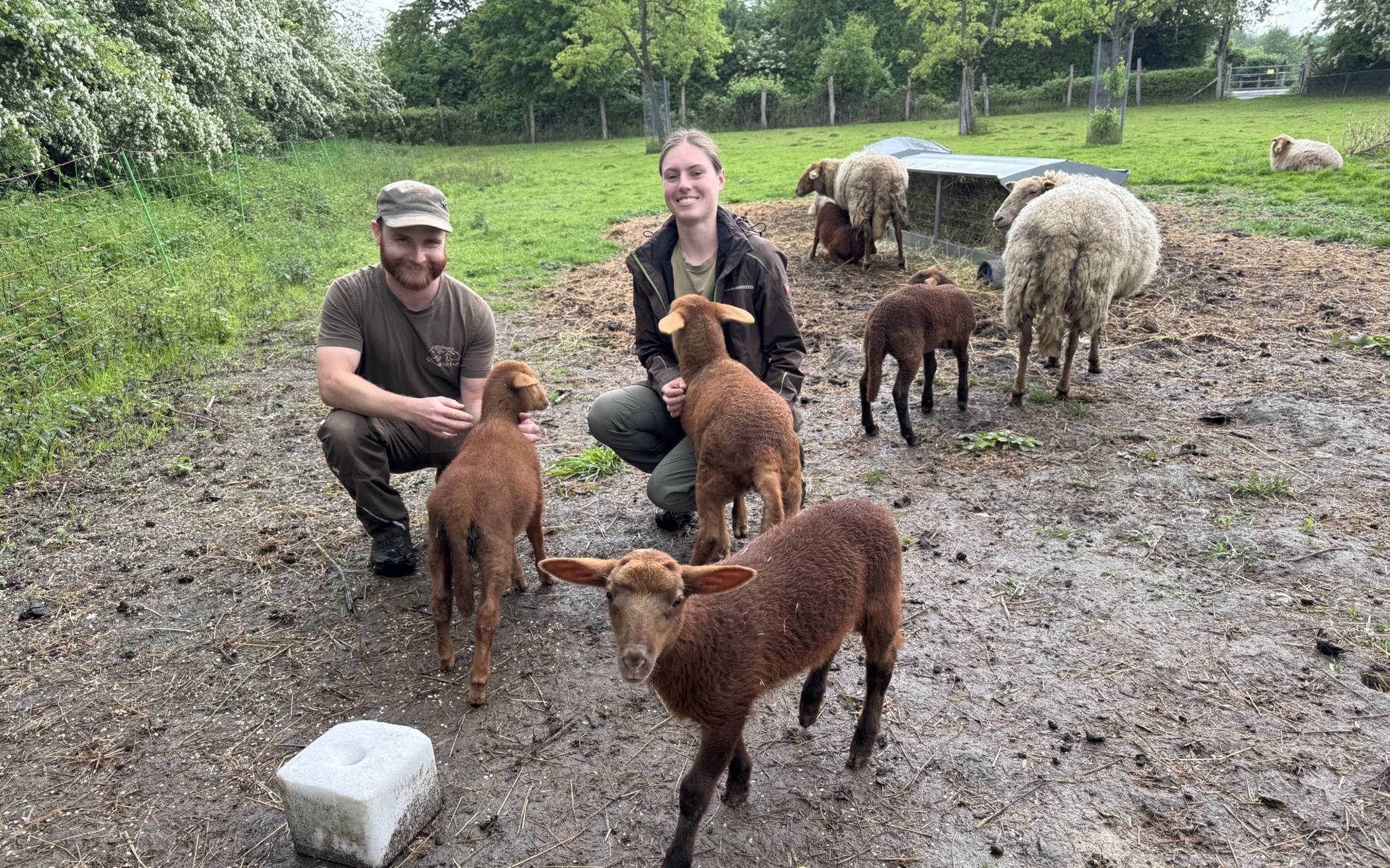  Frank Wirth und Leonie Kaufmann zusammen mit den Schafen im Naturschutzzentrum Bruchhausen. 