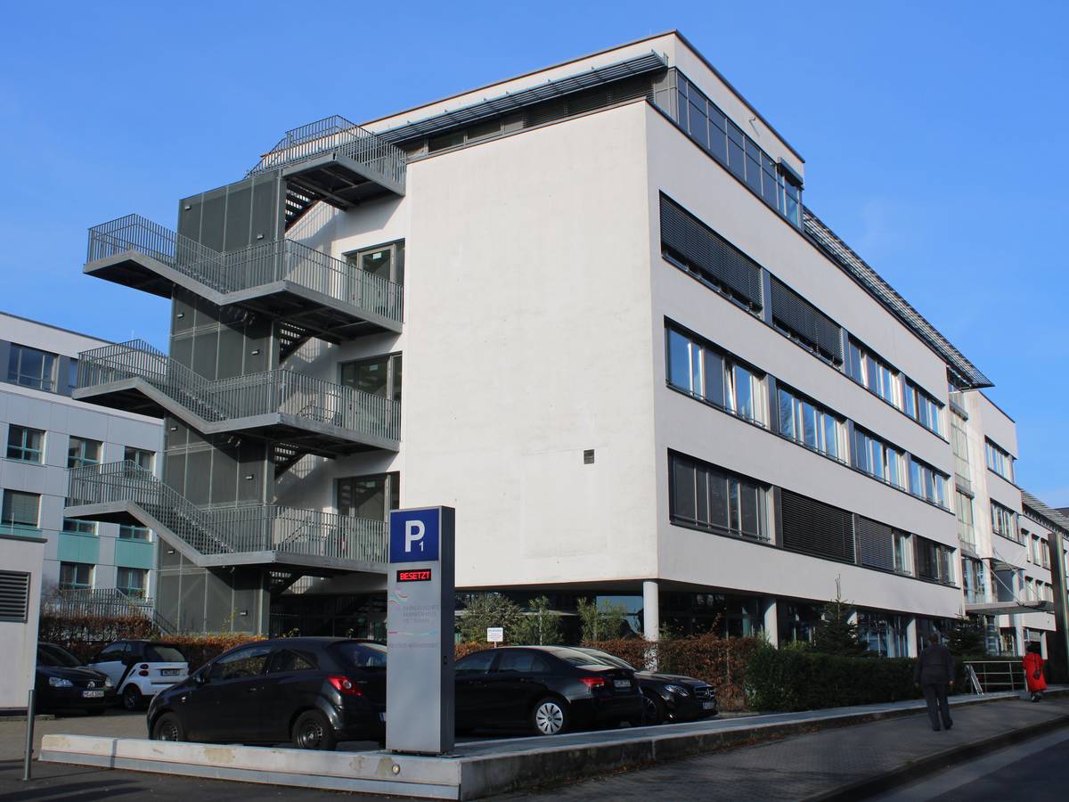Das künstliche Knie – OP, Rehabilitation und Mobilität ohne Schmerzen