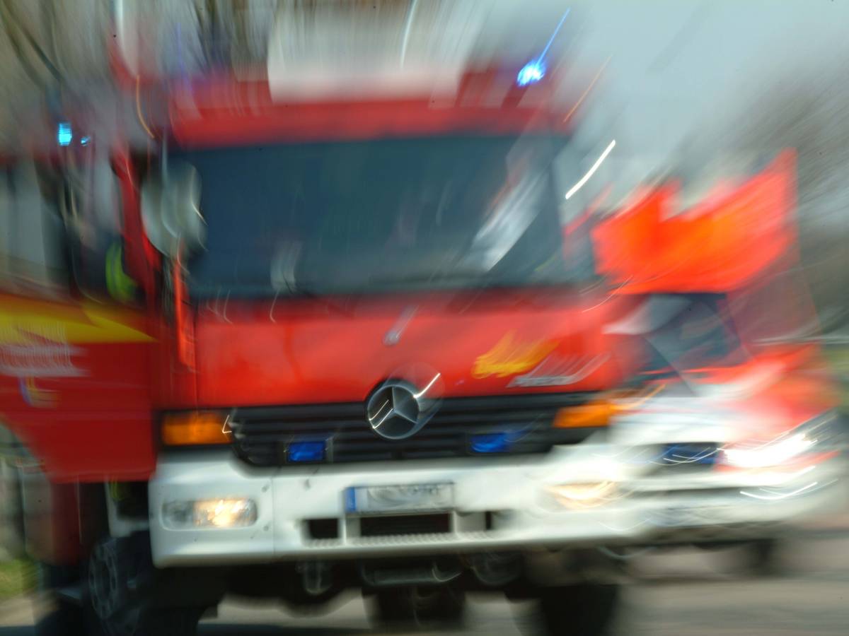 Freizeitspaß: Hinter die Kulissen der Feuerwehr blicken