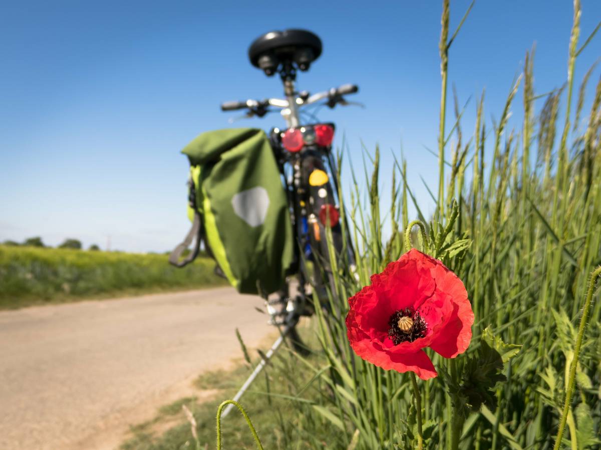 Trotz Regenwetter: Kreis Mettmann erzielt neuen Streckenrekord beim Stadtradeln