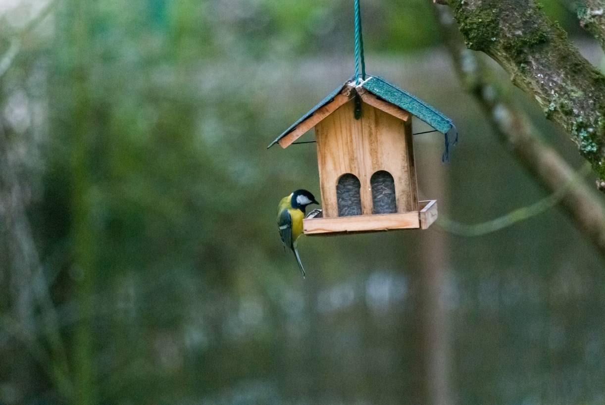 Nistkastenausstellung im Naturschutzzentrum