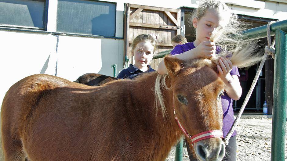 Als Alternative zum Offenen Ganztag der Schulen bietet Gut Rodeberg Betreuungsangebote...