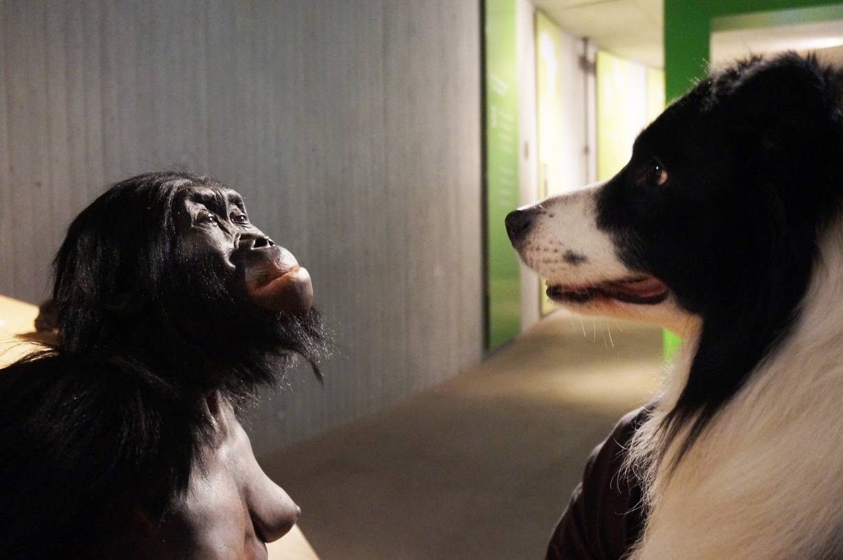 Mit dem Hund durch die Dauerausstellung