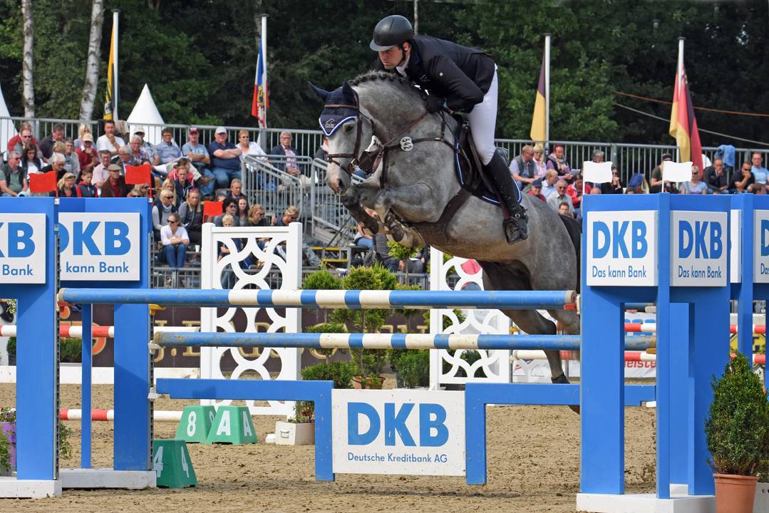  Auch Tilo Tucht wird bei den Erkrather Classics an den Start gehen. Hier ist er mit Grey Silk im kleinen Finale beim Bundeschampionat in Warendorf zu sehen. 