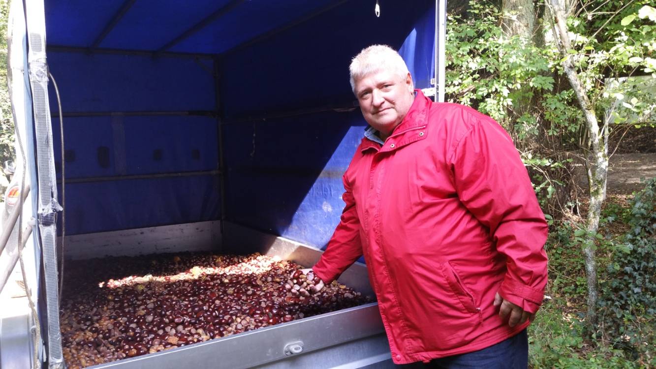  Peter Urban fuhr die gesammelten Kastanien und Eicheln direkt mit dem Hänger in das benachbarte Wildgehege. 