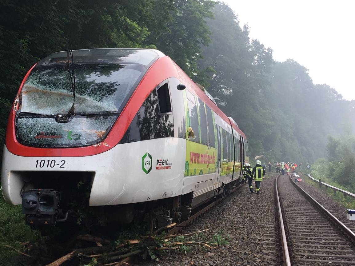 Zug kollidiert mit umgestürztem Baum