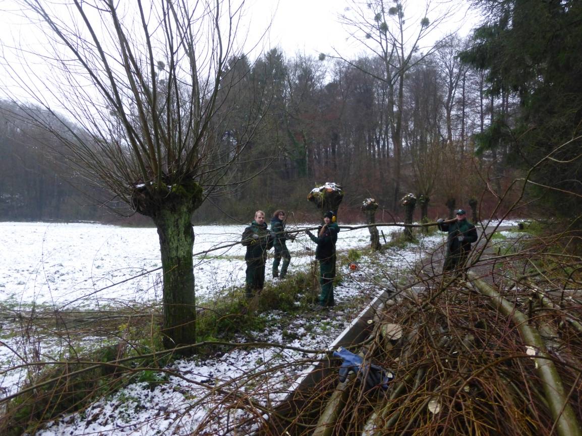 Freiwilliges ökologisches Jahr beim Kreis Mettmann