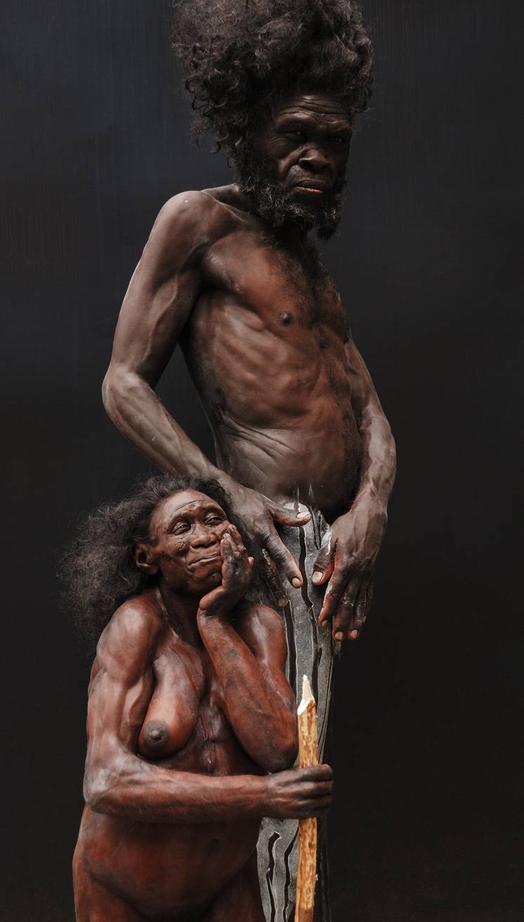 20 Jahre Neanderthal Museum: Besucher erhalten Einblicke in „Update“ der Dauerausstellung