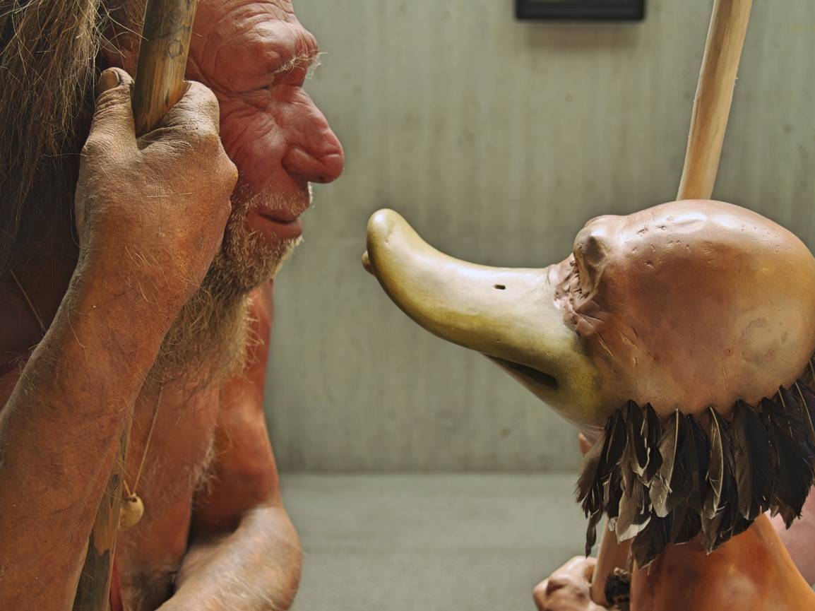 Bis 30. Oktober im Neanderthal Museum: Sonderausstellung „DUCKOMENTA“: Ein Riesenspaß für die ganze Familie