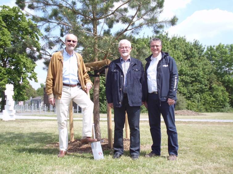  Dr. Wolf Jenkner (l.), Vorsitzender des Vereins „Rettet unser Naherholungsgebiet Unterbacher See/Eller Forst, Ratsherr Rolf Schulte (m.), Vorsitzender der Verbandsversammlung und Peter von Rappard (r.), Geschäftsführer des Zweckverband Erholungsgebiet Unterbacher See übergaben die neuen Bäume der Öffentlichkeit. 