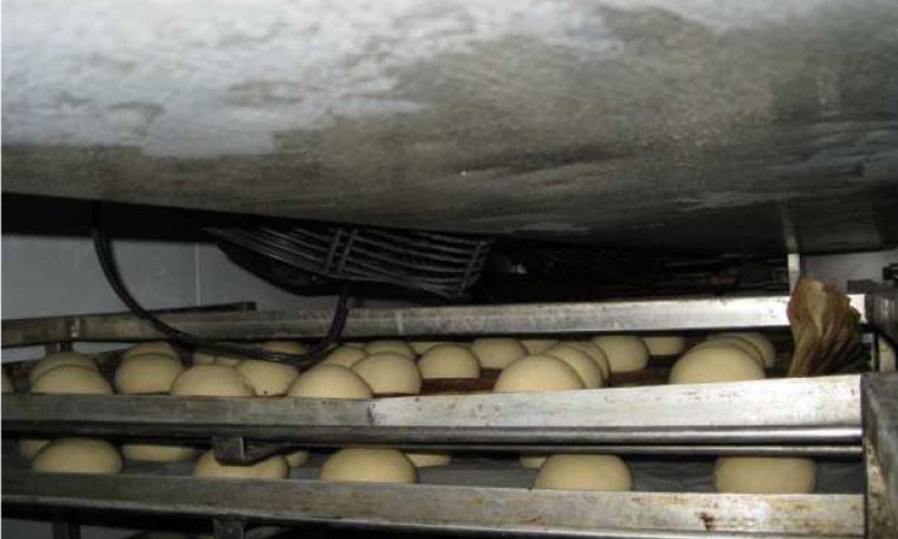  Bilder wie diese sorgen für Ekel: Schimmelkulturen in einem Backbetrieb im Kreis. 