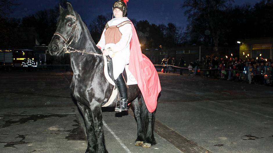 Ein stolzer Friese trägt den weiblichen St. Martin in der Sandheide durch die...