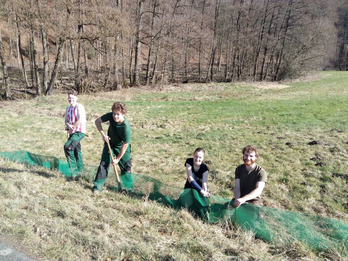  Finn, Lukas, Valeria und Kreismitarbeiter Frank Wirth beim Krötenzaunaufbau in Langenberg. 