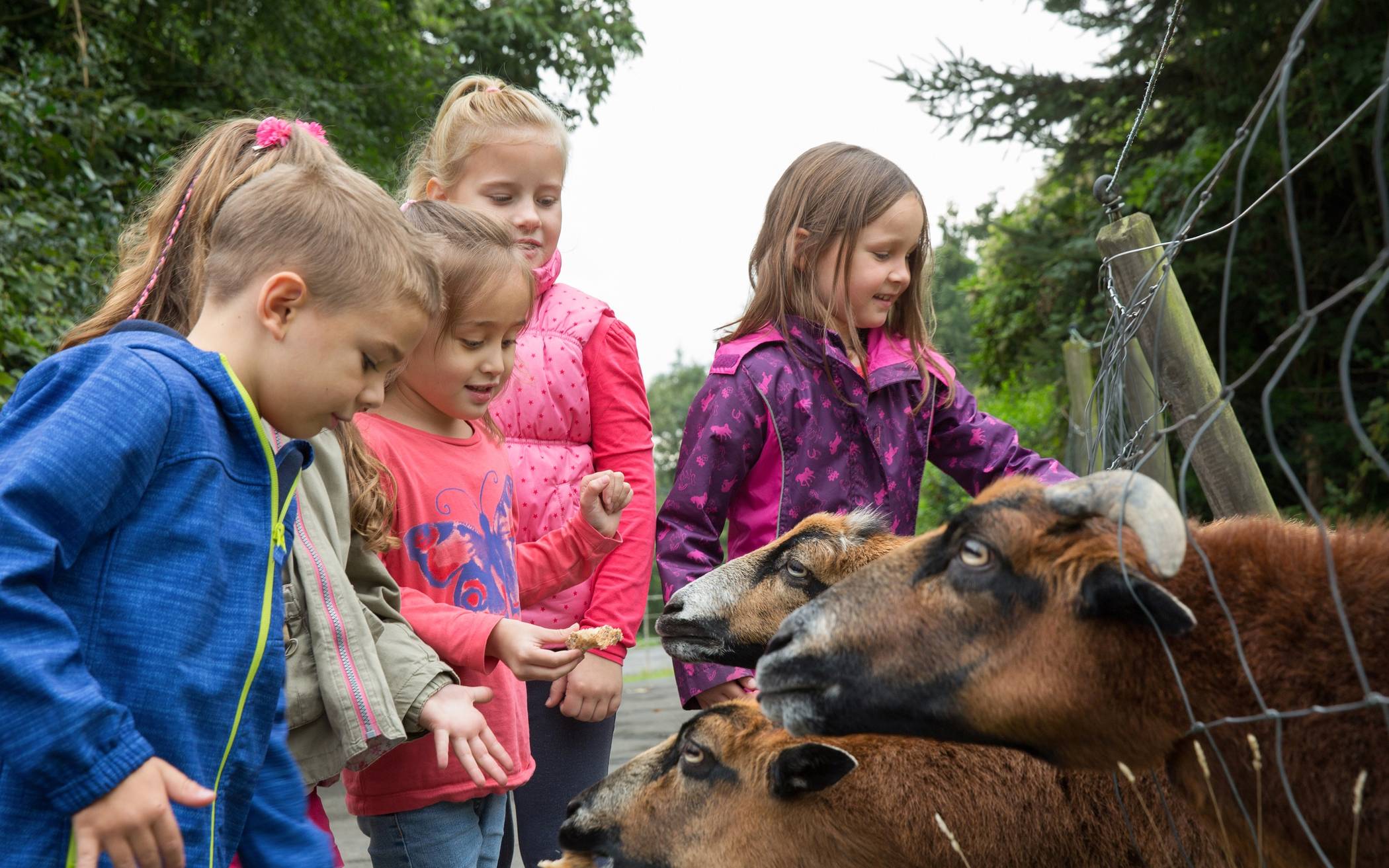 Kinder können im Kreis tolle Osterferienerlebnisse