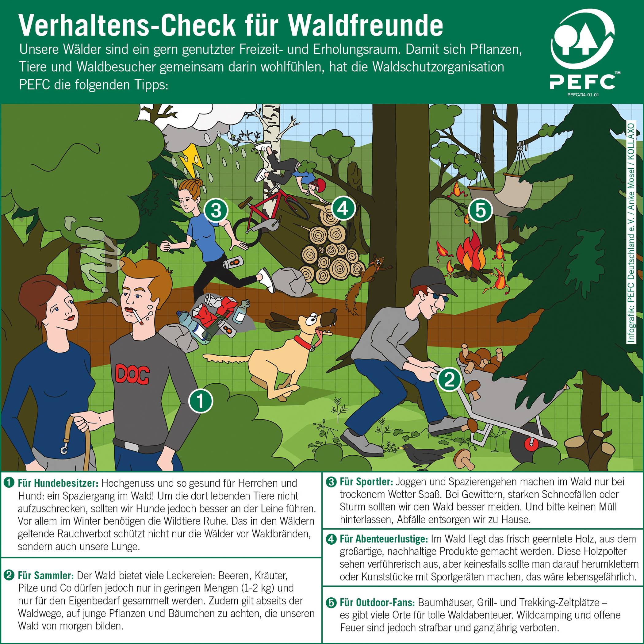 Praktische Tipps zum Aufenthalt im Forst: Verhaltens-Check für Waldfreunde 