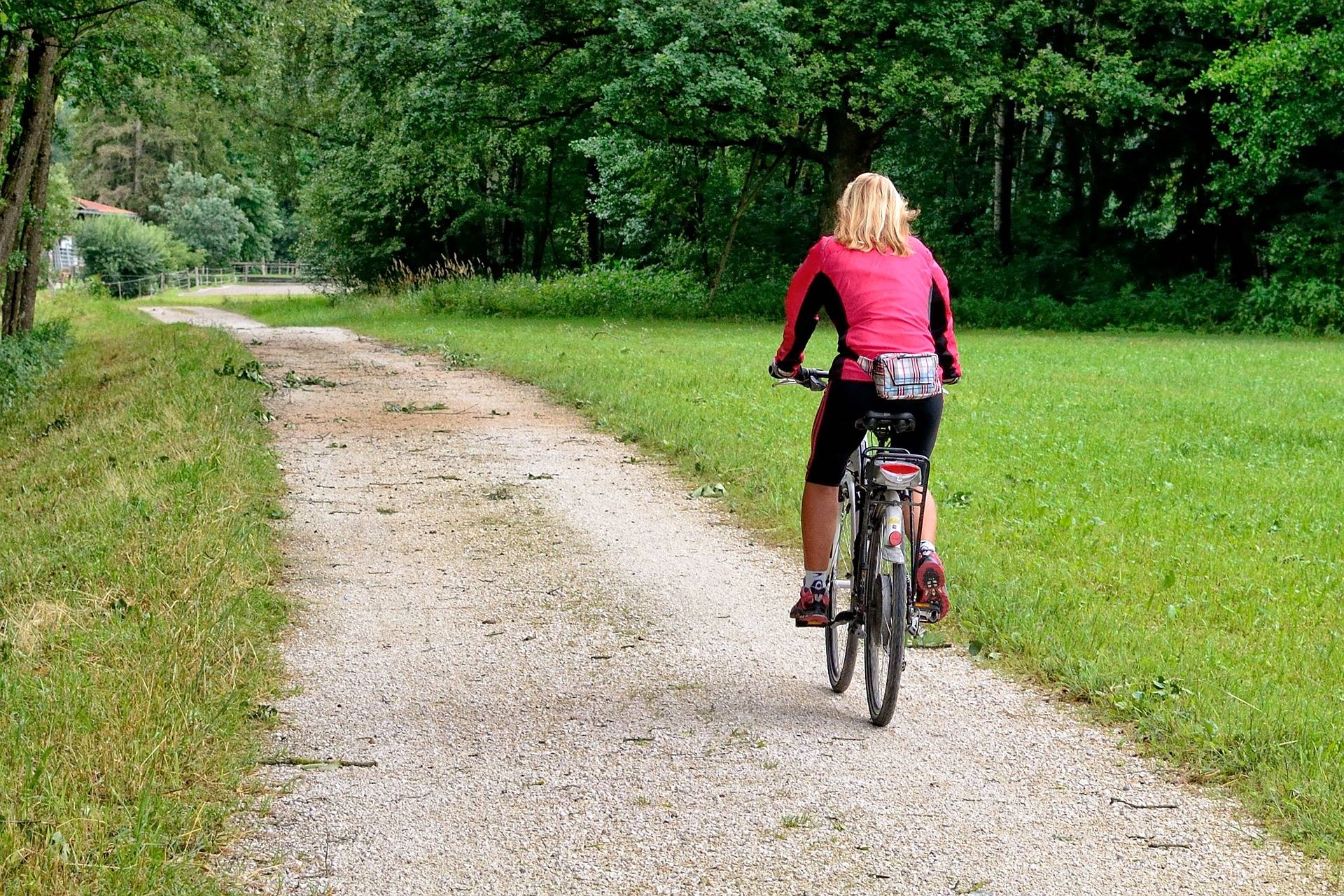 Grüne setzen sich für Radwege ein