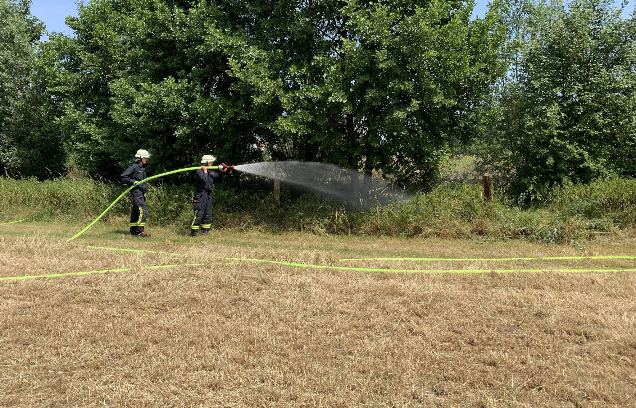 Gemeldeter Waldbrand an der Bergischen Allee