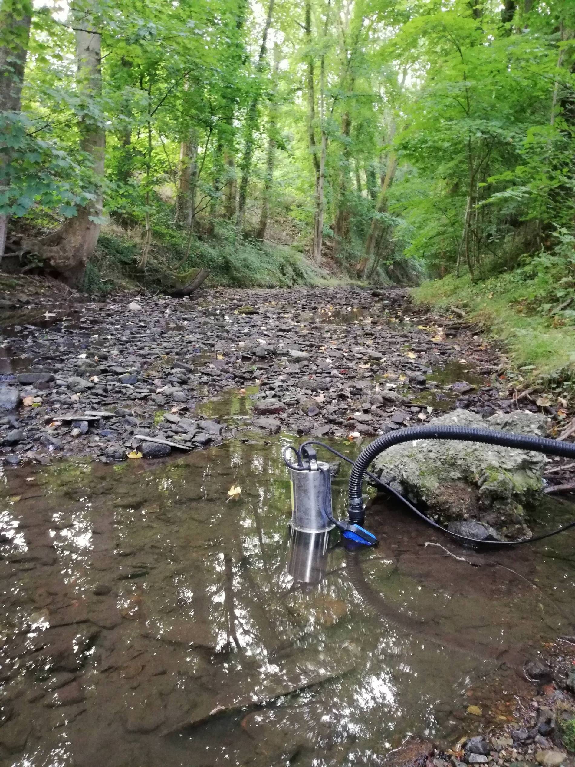 Untere Wasserbehörde des Kreises mahnt: Bei anhaltender Trockenheit