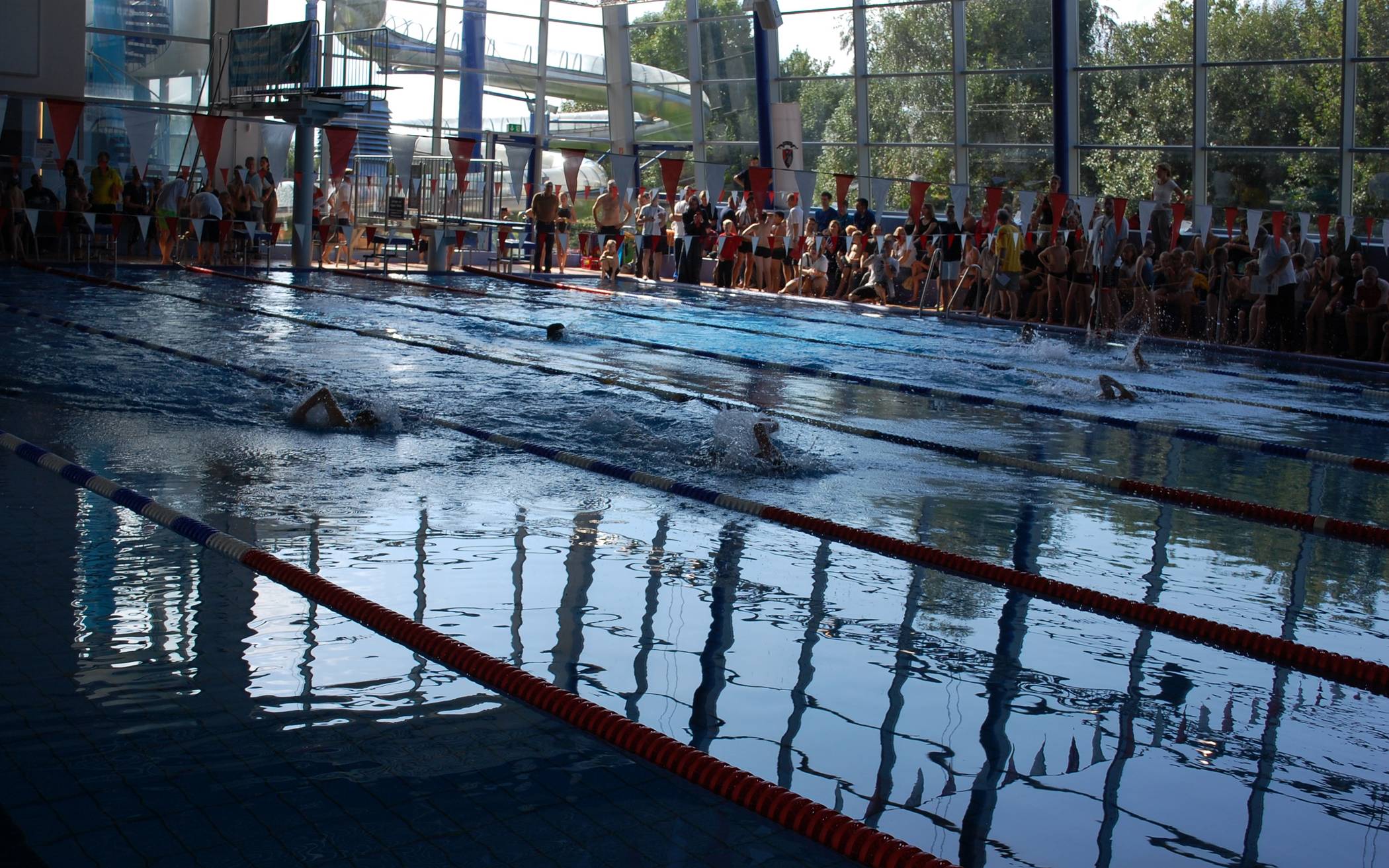 Stadtmeisterschaften im Schwimmen am 5. Oktober - Anmeldungen ab sofort online möglich!: Auf zum Wettkampf!