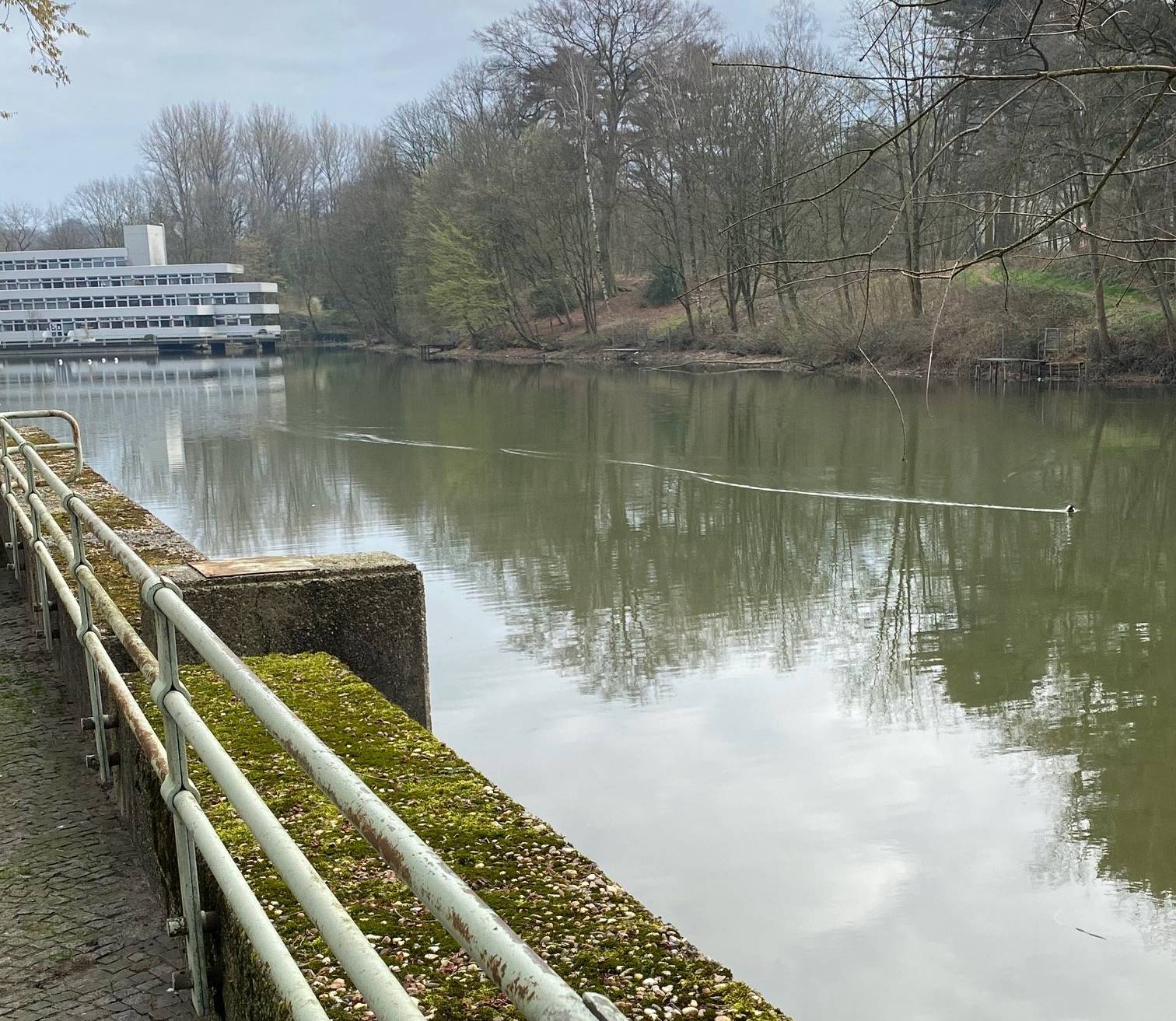 Der Stadtweiher in Hochdahl wird wieder